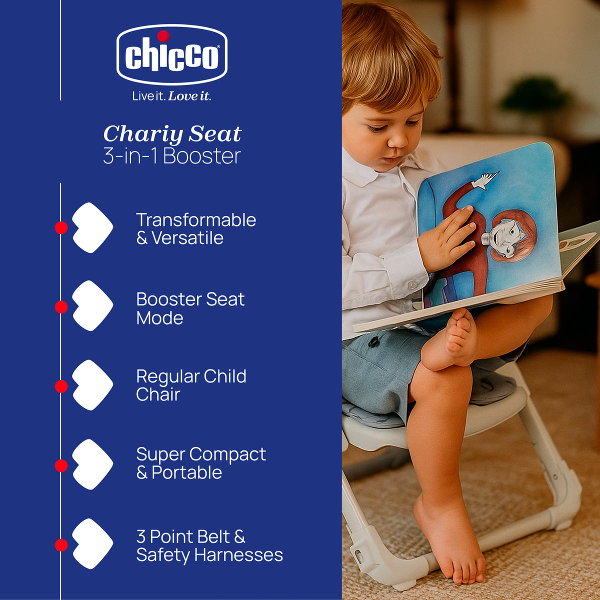 Chicco Chairy Booster Seat