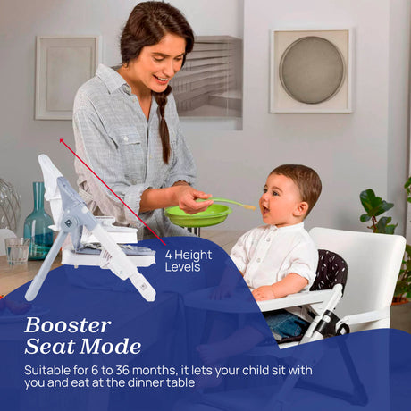 Chicco Chairy Booster Seat