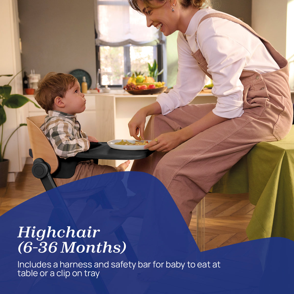 Chicco Meraviglia 4-In-1 Highchair