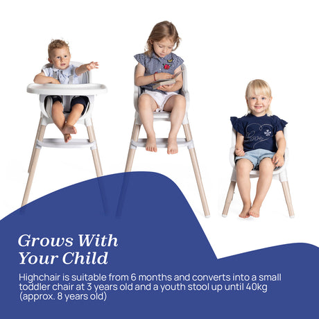 Chicco Zest Plus Highchair