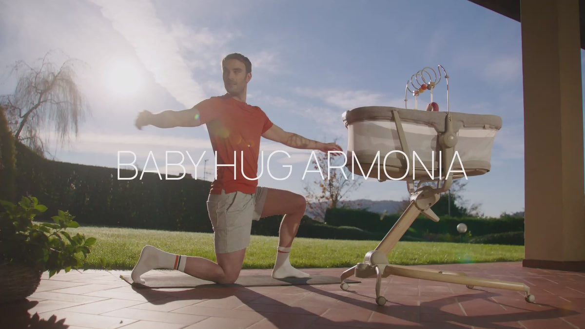 Chicco Baby Hug 4-In-1 Armonia